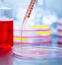 Cell Culture Media